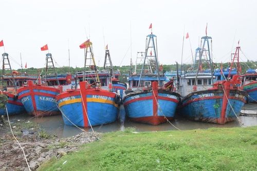 Dự báo có gió mạnh trên biển: Tỉnh Nghệ An yêu cầu các địa phương chủ động ứng phó