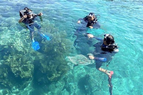 Chuyện về những biệt đội 'phượt' đáy biển nhặt rác, bảo vệ đại dương