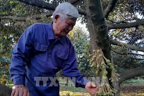 Hỗ trợ người dân vùng biên Bình Phước phát triển kinh tế bền vững
