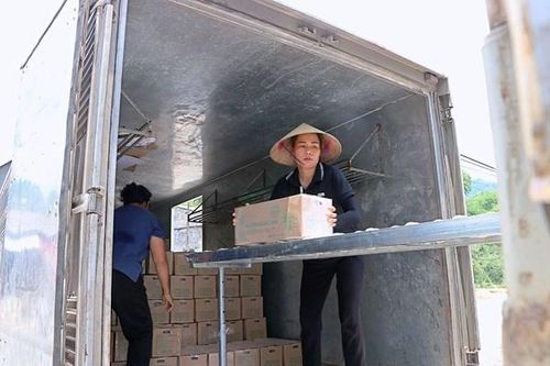 Hòa Bình tiếp tục xuất khẩu 18 tấn mía tươi sang Hoa Kỳ