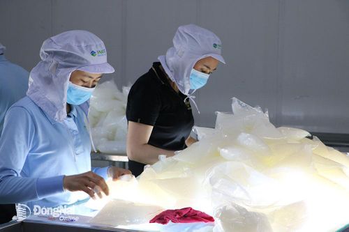 Doanh nghiệp tìm cách 'ngược dòng' suy giảm kinh tế