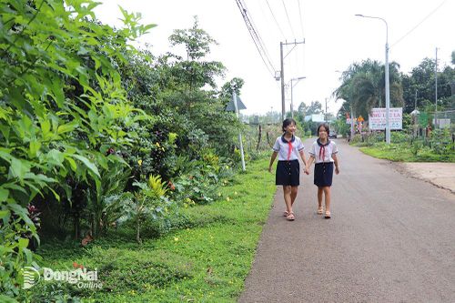 Xây dựng nông thôn xanh - sạch - đẹp