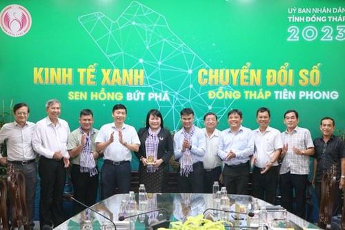 Công ty Cổ phần Nest Art mong muốn đầu tư dự án nhà máy chế biến và khách sạn tại Đồng Tháp
