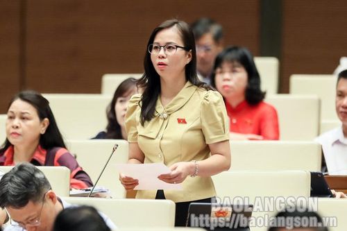 Đại biểu Quốc hội tỉnh tranh luận với Bộ trưởng, Chủ nhiệm Ủy ban Dân tộc về chính sách vùng dành cho đồng bào dân tộc thiểu số