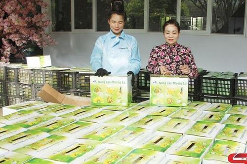Mường La chủ động tiêu thụ nông sản