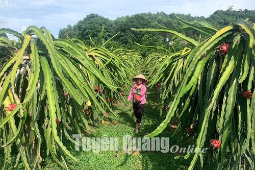 'Đánh thức' đồng đất kém hiệu quả