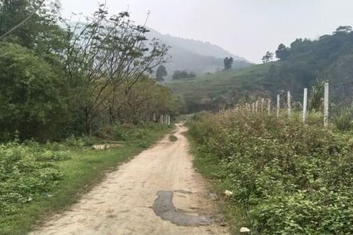 Quốc Oai -Hà Nội: Cảnh hoang tàn ở Dự án trồng, bảo vệ rừng xin chuyển sang xây biệt thự (Bài 19)