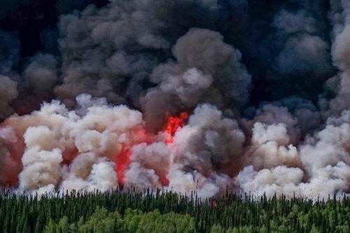 Cháy rừng nghiêm trọng chưa từng có tại Canada