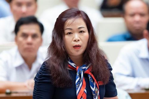 Truy lý do Chủ nhiệm Ủy ban Dân tộc 'quên' trả lời chất vấn chi phí hội thảo, tập huấn lớn