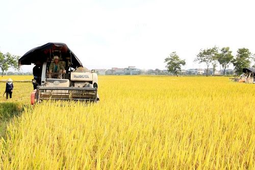 Hướng đến vụ mùa bội thu