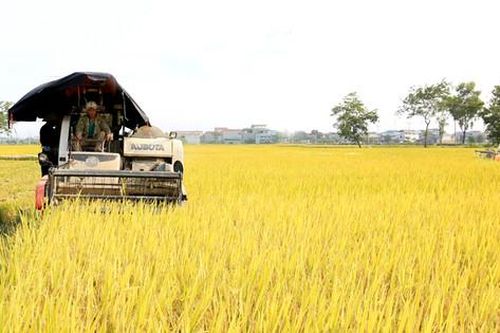 Hướng đến vụ mùa bội thu