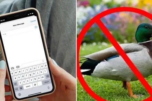 iPhone sẽ ngừng tự thay thế một từ rất phổ biến, tại sao ai cũng buồn cười?