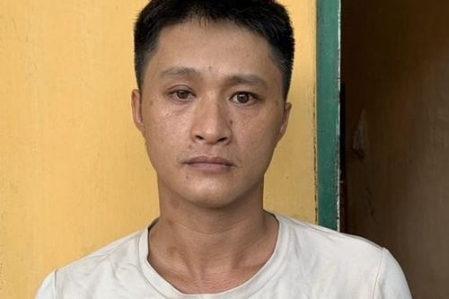 Vờ bán rừng cây qua mạng, nam thanh niên chiếm đoạt 300 triệu đồng tiền đặt cọc