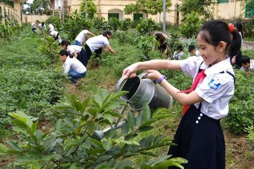 Tăng hiệu quả truyền thông bảo vệ môi trường khi đồng hành cùng doanh nghiệp