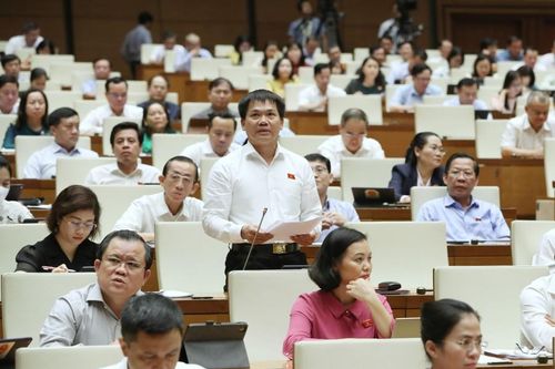 Thành phố Hồ Chí Minh không chỉ cần chính sách đặc thù mà phải đặc biệt
