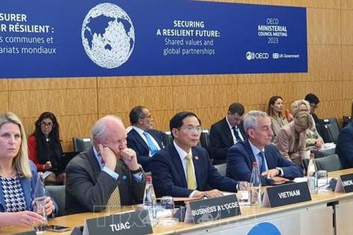 Bộ trưởng Ngoại giao Bùi Thanh Sơn dự hội nghị Hội đồng Bộ trưởng OECD