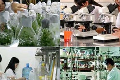 Gắn kết hoạt động nghiên cứu, ứng dụng và chuyển giao khoa học công nghệ
