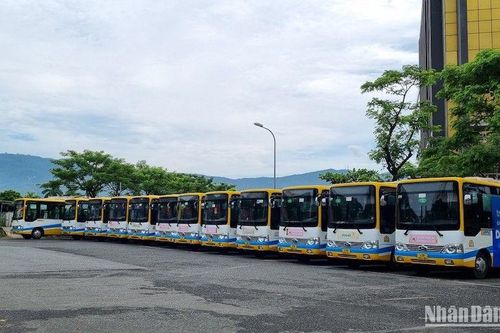 Đà Nẵng: Cần sớm giải quyết tiền lương cho tài xế và nhân viên xe buýt Quảng An