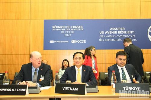 Bộ trưởng Ngoại giao Bùi Thanh Sơn tham dự Hội nghị Hội đồng Bộ trưởng OECD