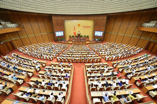 Ý kiến cử tri