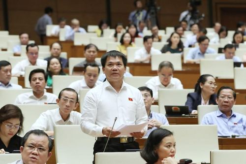 Đại biểu Quốc hội: TPHCM không chỉ cần cơ chế đặc thù, phải có cơ chế đặc biệt