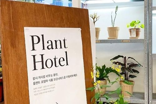 Bệnh viện dành cho cây xanh