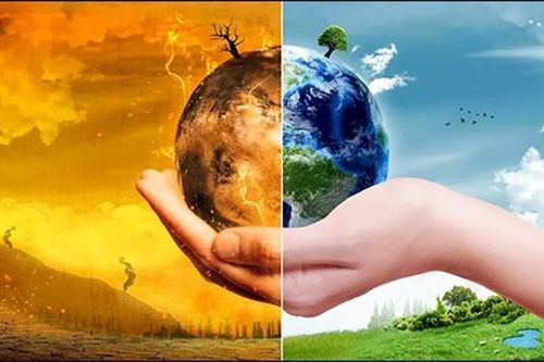 Chuyên gia tiên đoán: ' Đại tuyệt chủng hàng loạt có thể xảy ra năm 2100'?