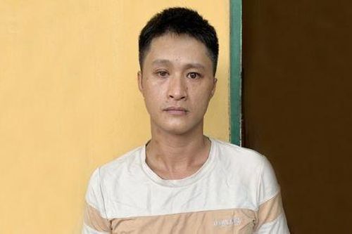 Dẫn người mua đến vườn keo không phải của mình rồi lừa bán