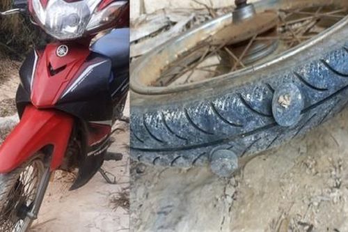 Đắk Nông thông tin vụ lực lượng bảo vệ rừng bị bắn, ném 'bom xăng'