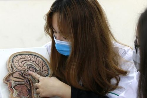 Học phí ĐH Y Hà Nội tăng gấp 3,5 lần