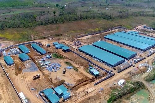 Ba doanh nghiệp chăn nuôi heo ở Gia Lai bị xử phạt gần 1 tỉ đồng