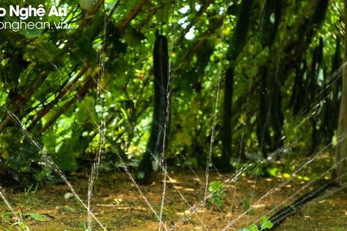 'Giải mã' cách bơm nước tưới không cần điện của nông dân Thanh Chương