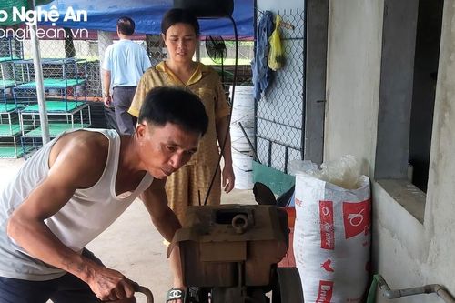 Lo gà chết do sốc nhiệt khi mất điện, chủ trại gà ở Nghệ An tìm phương án đối phó
