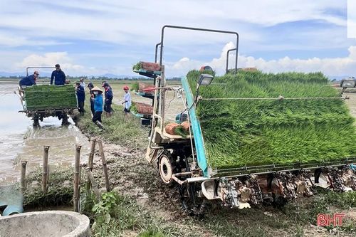 Cẩm Xuyên thí điểm mạ khay, cấy máy sản xuất lúa theo hướng hữu cơ