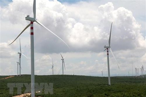 Thống nhất giá tạm cho 51 dự án năng lượng tái tạo chuyển tiếp