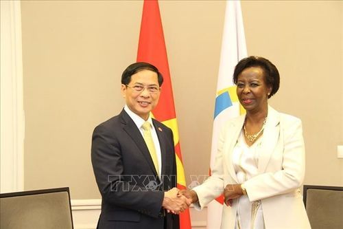 Việt Nam ủng hộ những nỗ lực của OIF trong thúc đẩy sử dụng tiếng Pháp