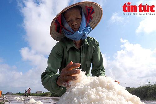 Diêm dân Bạch Long 'bán lưng' giữa trời nắng gắt thu hoạch muối