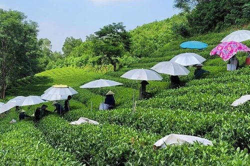 Đồng Hỷ phấn đấu trở thành huyện nông thôn mới vào năm 2025