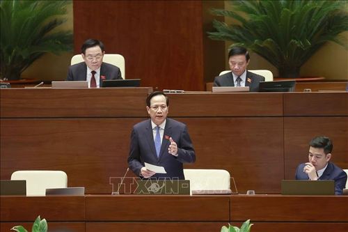 Hình thức giám sát tối cao trực tiếp, hiệu quả