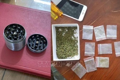Bắt nhóm đối tượng buôn bán cần sa trái phép