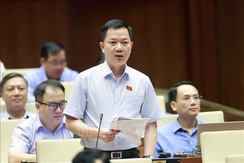 Bên lề Quốc hội: Tránh lợi dụng độc quyền trong thị trường điện