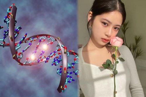 Cơ thể người có sẵn loại enzym giúp ăn mãi không béo, cách 'kích hoạt' nó thế nào?