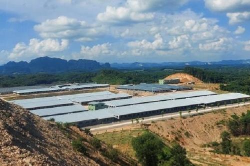 'Ông lớn' Xuân Thiện xin xây nhà cao tầng để nuôi heo ở Thanh Hóa