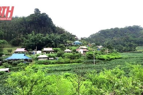 Trăn trở Cao Sơn