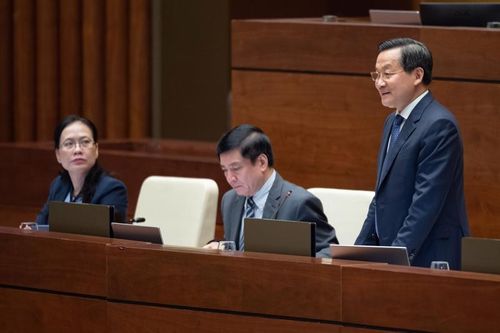 Quốc hội chất vấn Phó Thủ tướng về rủi ro do sở hữu chéo trong hệ thống tài chính, ngân hàng