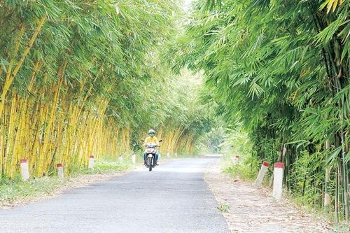Đẩy mạnh bảo vệ môi trường nông thôn