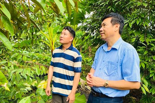 Chủ tịch UBND tỉnh Phạm Thiện Nghĩa thăm và làm việc với lãnh đạo hợp tác xã, hội quán tại huyện Châu Thành