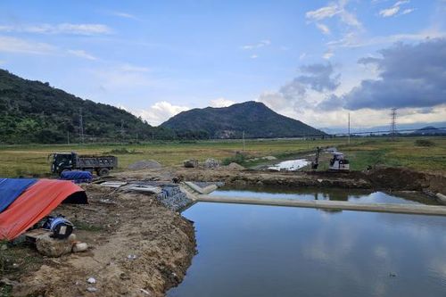 Ứng phó với nắng hạn