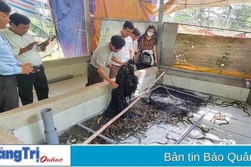 Nhân rộng các mô hình sản xuất có hiệu quả