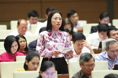 ĐBQH Trần Khánh Thu (Thái Bình): Cần có chính sách đặc thù ưu đãi để thu hút nhà đầu tư về y tế